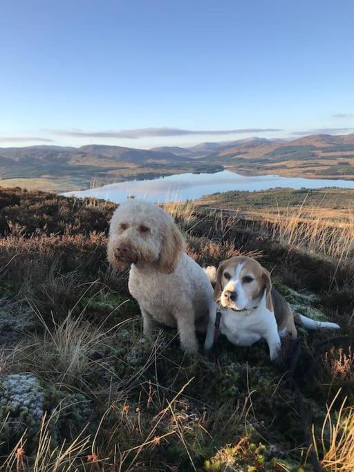 Polharrow Villa Dalry  Dış mekan fotoğraf