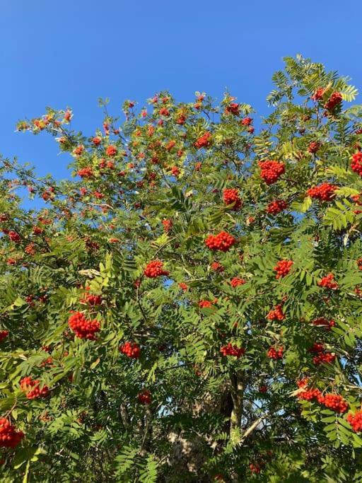 Polharrow Villa Dalry  Dış mekan fotoğraf